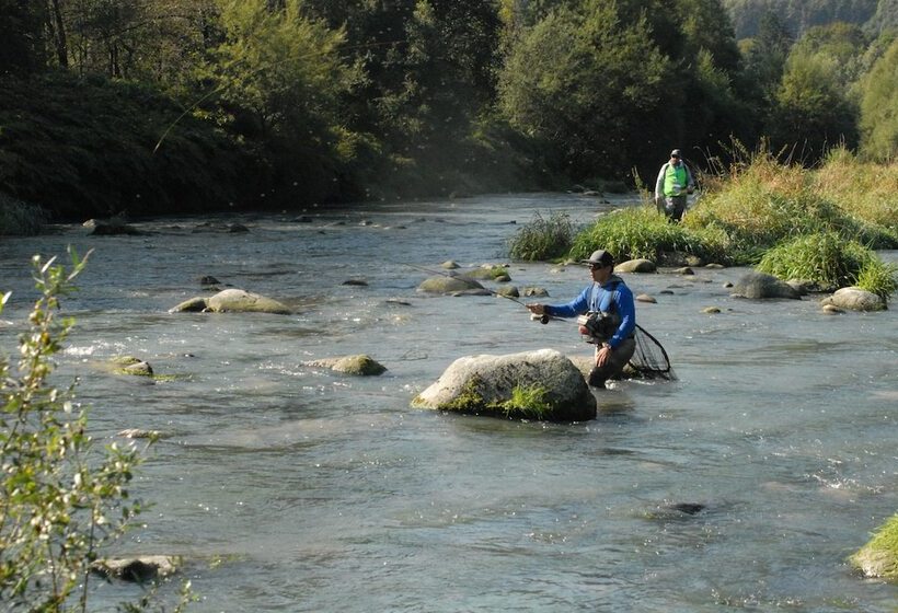 בית מלון כפרי Rio