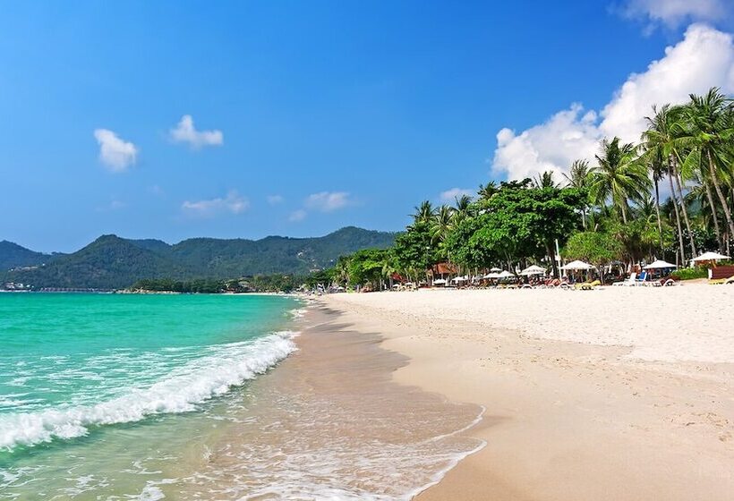 هاستل Behind The Scene Hotel Club @ Samui