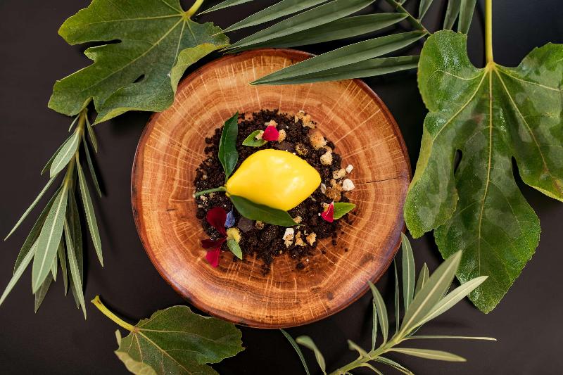 هتل Radisson Blu Resort, Taghazout Bay Surf Village