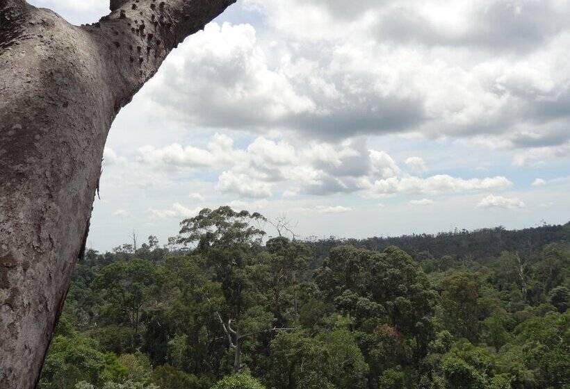 هتل Samboja Lodge