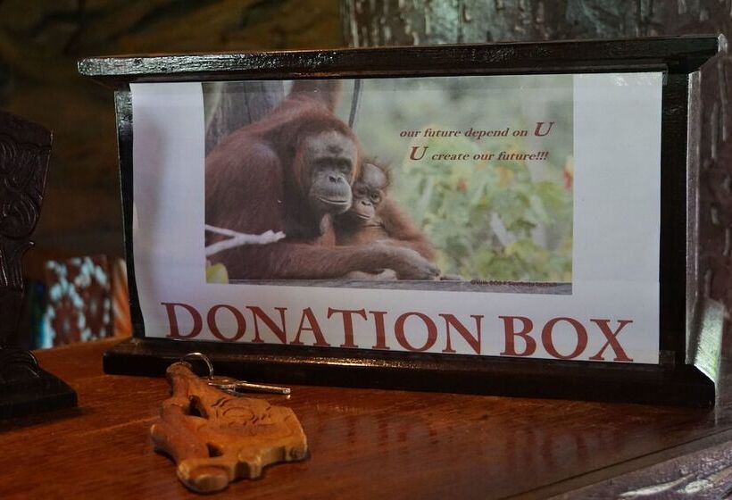 هتل Samboja Lodge