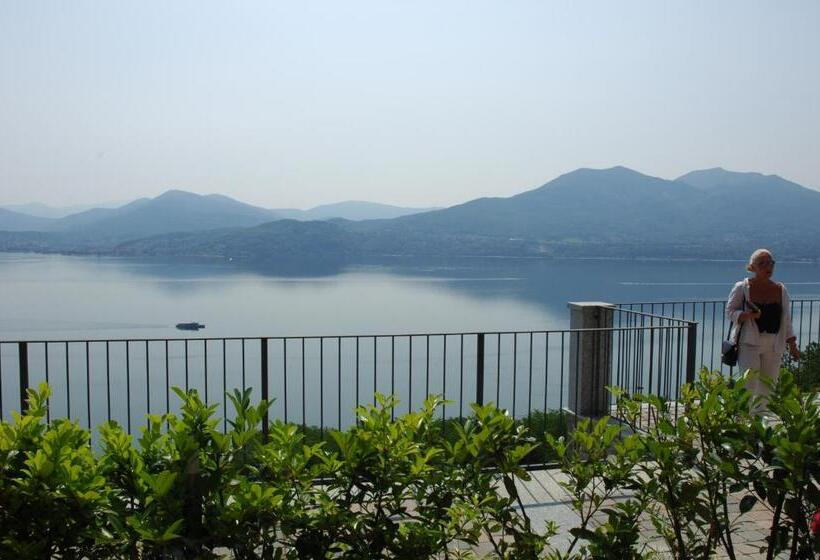 Il Vigneto