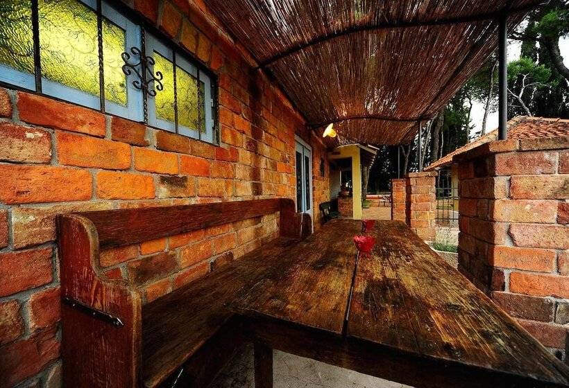 بنسيون Villa Skula