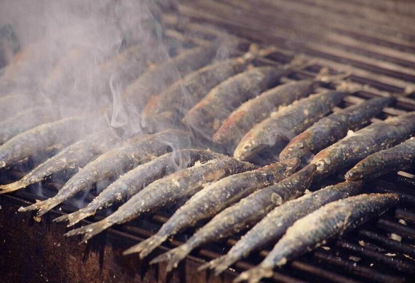 بنسيون Villa Skula