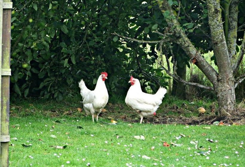 Reservoir View Motel