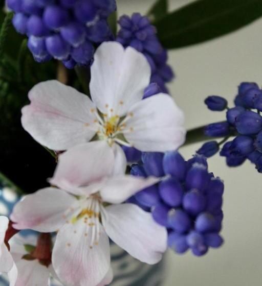민박 The Bosham Boathouse