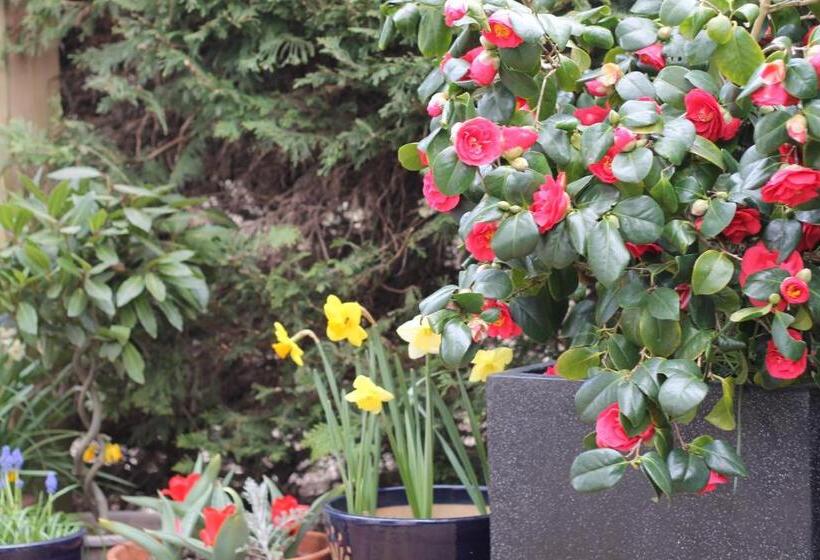 민박 The Bosham Boathouse