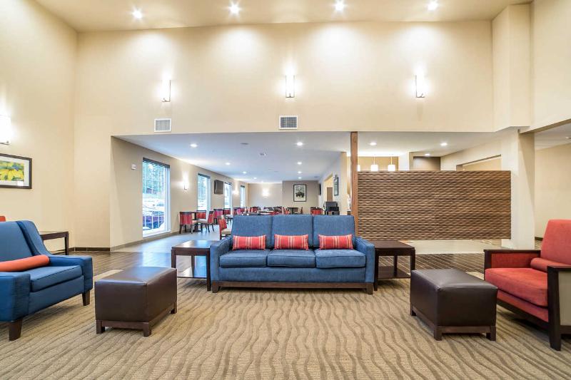 هتل Comfort Inn & Suites Near Mt. Rushmore