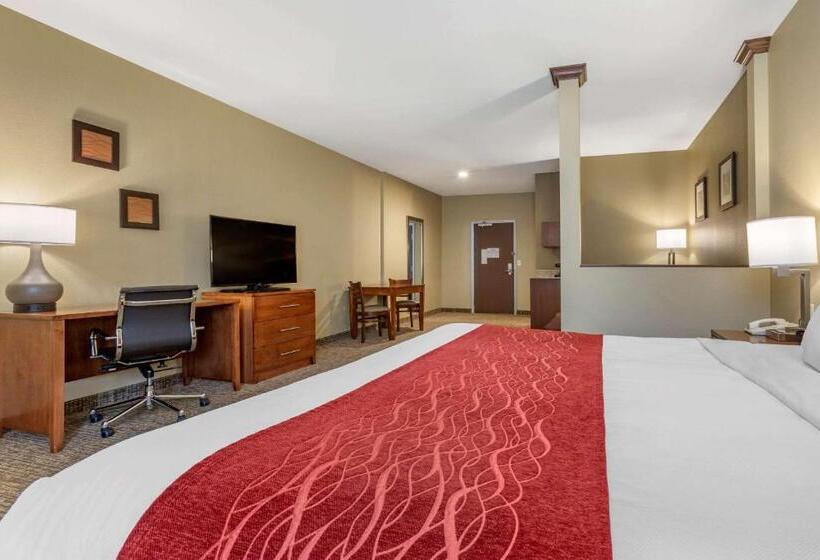 هتل Comfort Inn & Suites Near Mt. Rushmore