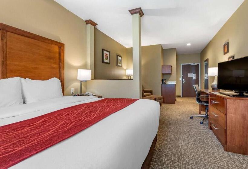 هتل Comfort Inn & Suites Near Mt. Rushmore
