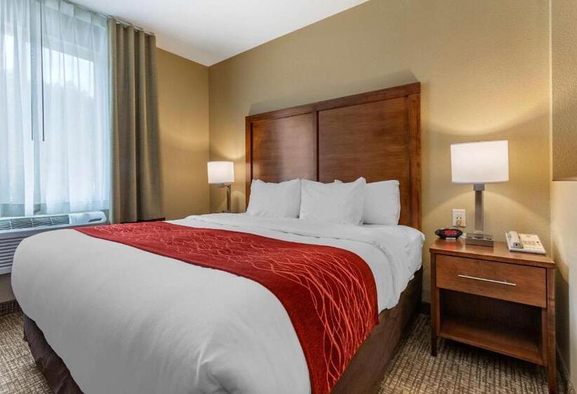 هتل Comfort Inn & Suites Near Mt. Rushmore