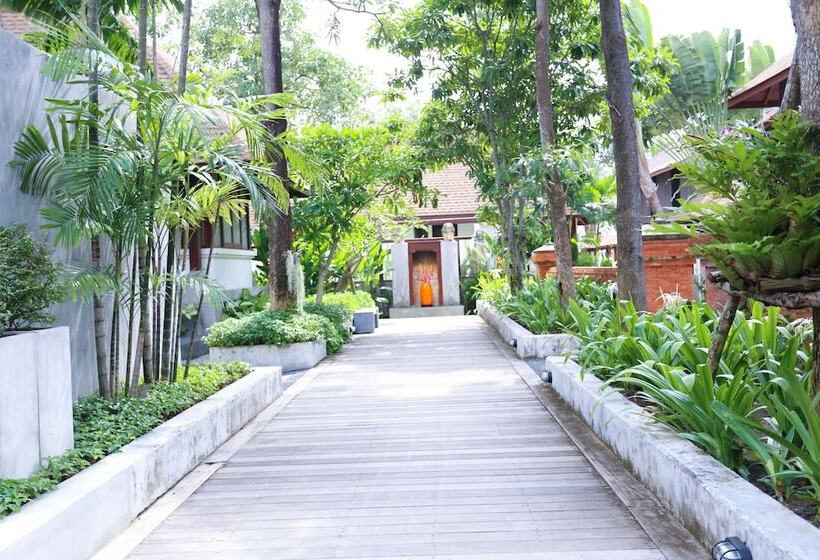 Hotel Pavilion Pool Residence Samui   Sha Extra Plus