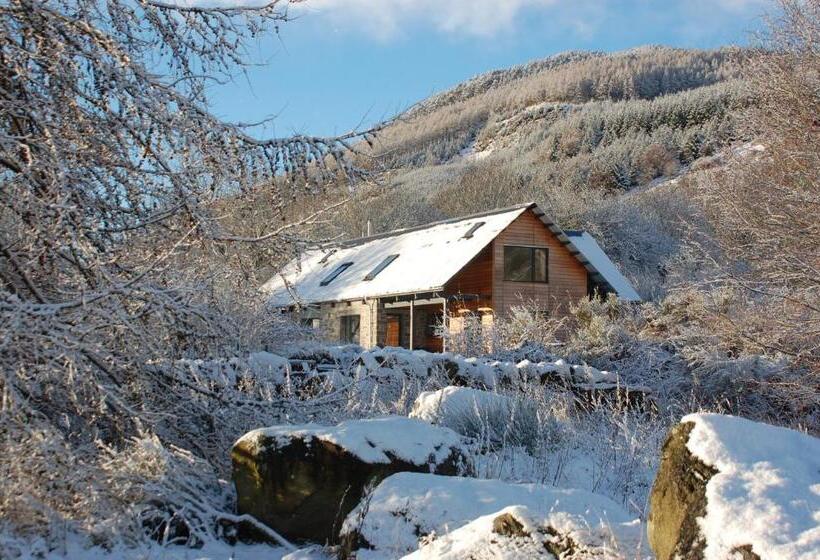 مبيت وإفطار The Steading