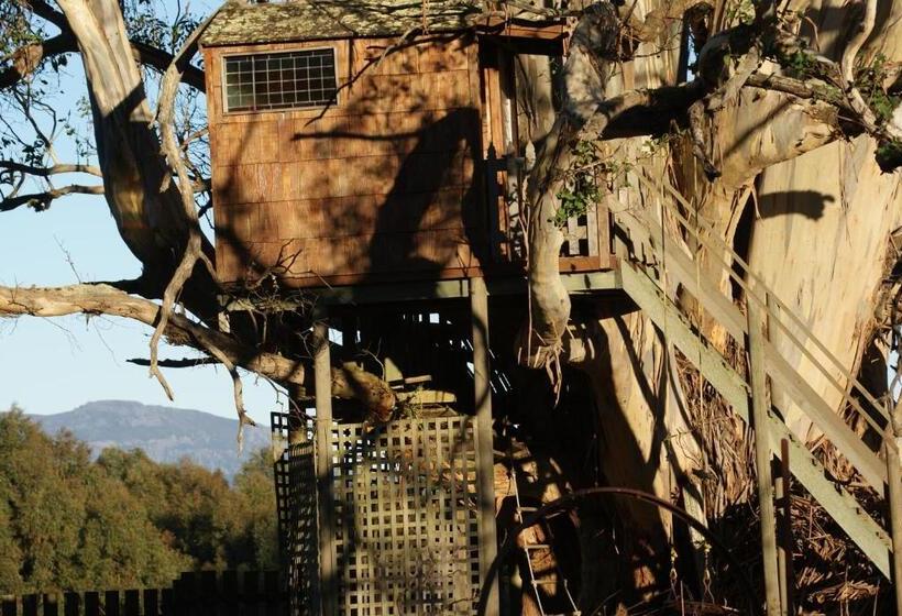 هتل Aaa Granary Accommodation