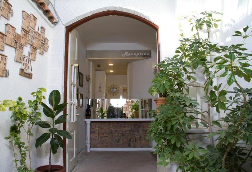 هتل Kaleiçi Ozkavak