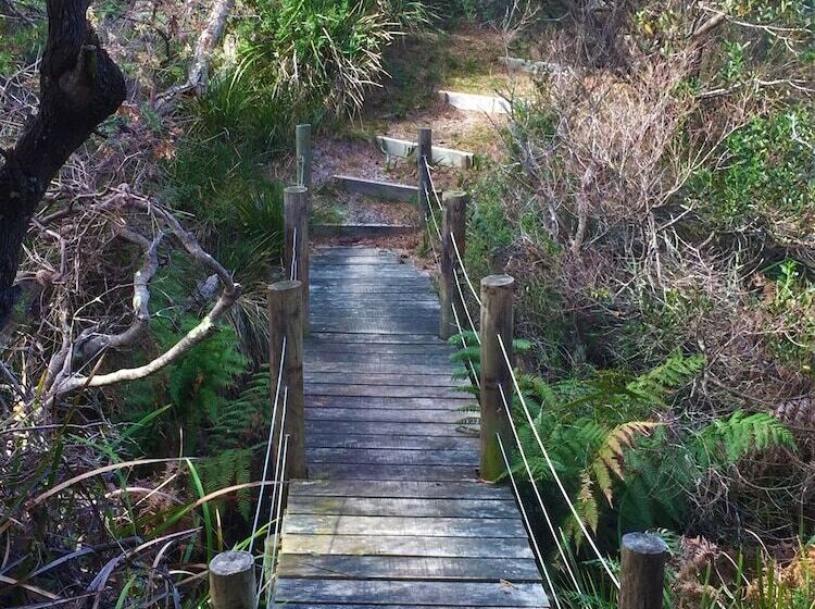 فندق Sandpiper Ocean Cottages