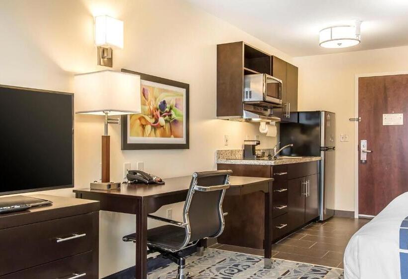 ホテル Suburban Studios Donaldsonville Gonzales