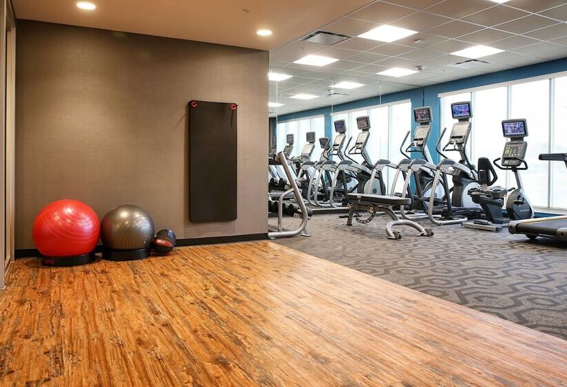 فندق Fairfield Inn & Suites By Marriott Madison Verona