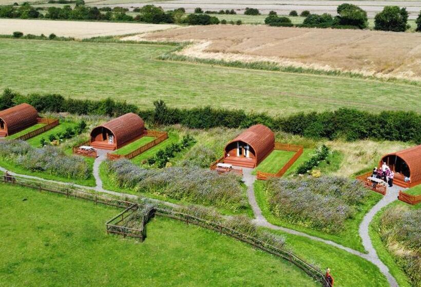ホテル Manor Farm Stay
