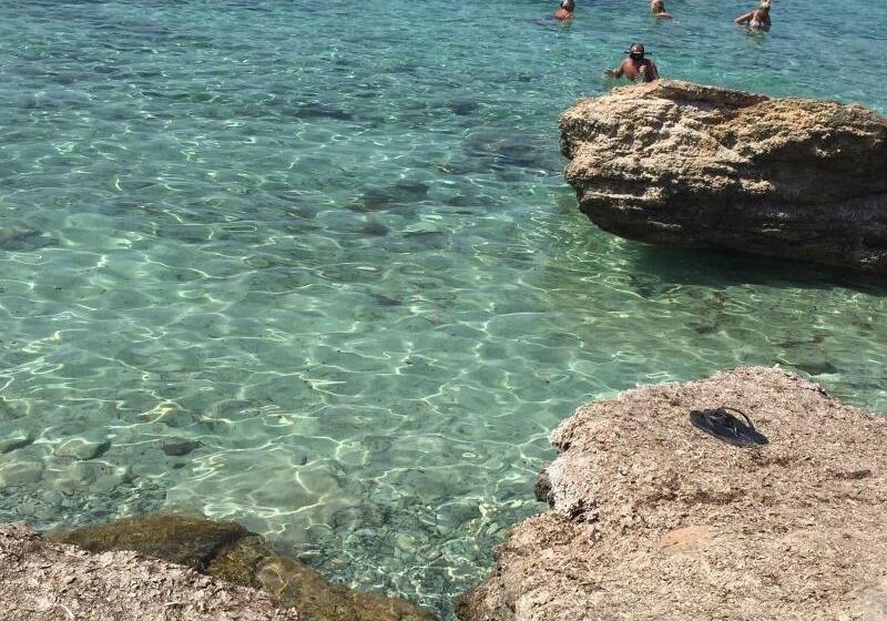 هتل Riviera Palace