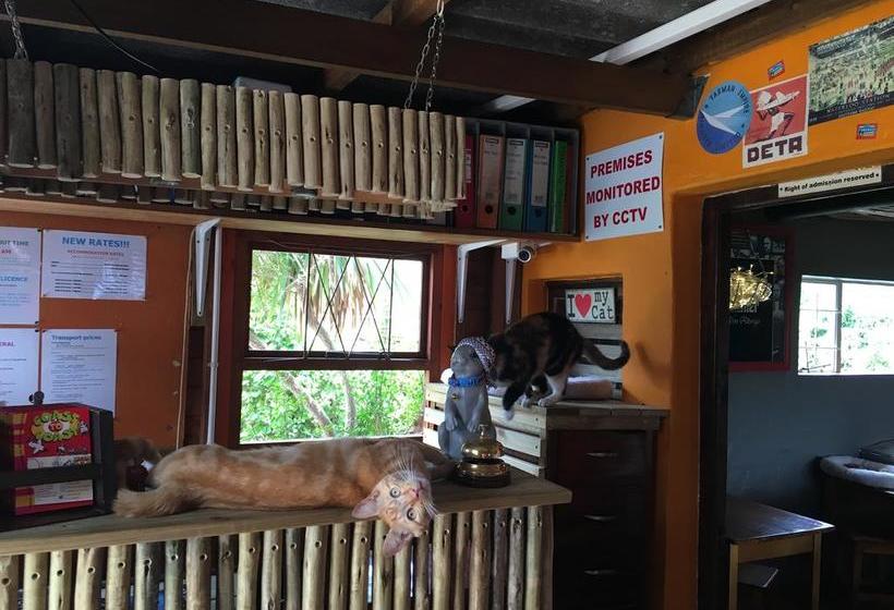 Albergo For Backpackers