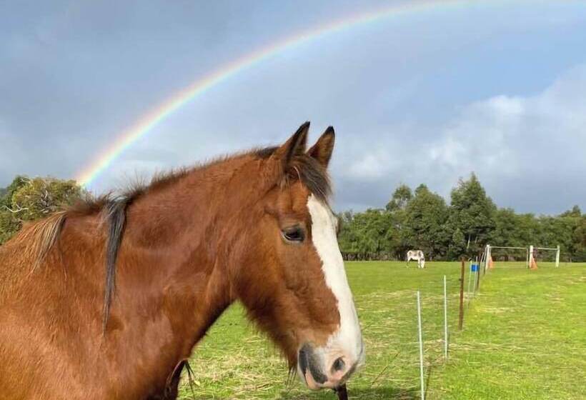 בית מלון כפרי Big4 Middleton Beach Holiday Park