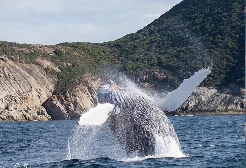 בית מלון כפרי Big4 Middleton Beach Holiday Park