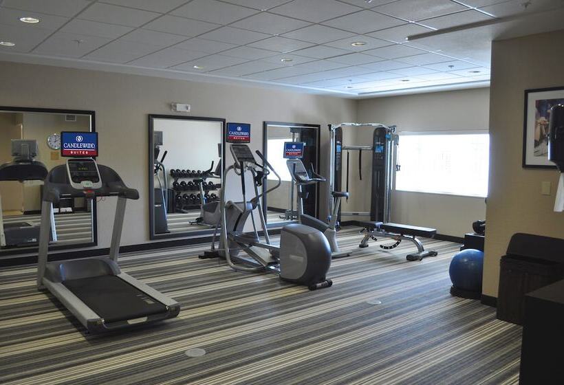 בית מלון כפרי Candlewood Suites Bay City, An Ihg