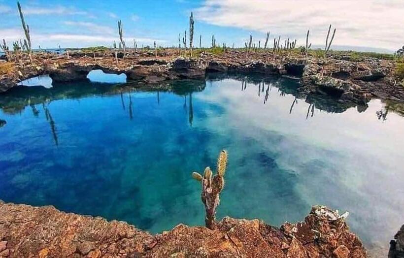 هتل Hospedaje Delfin Azul