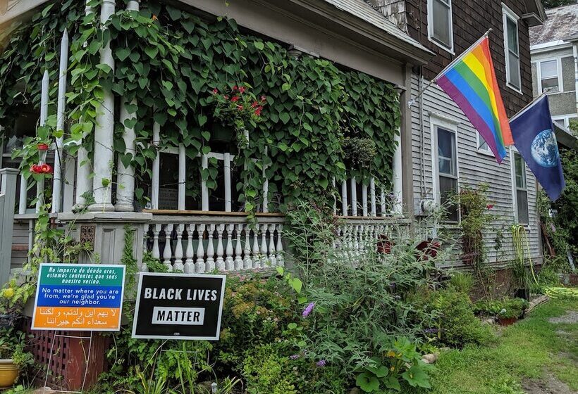 The One Cat B&b