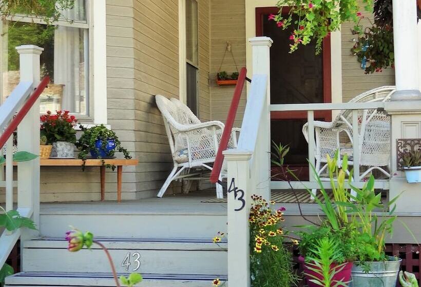 The One Cat B&b