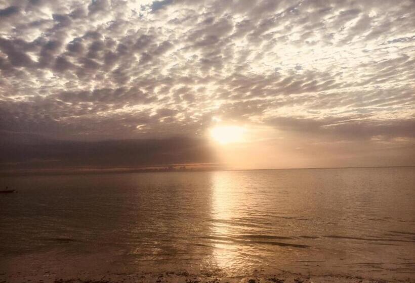 פנסיון Vanilla House