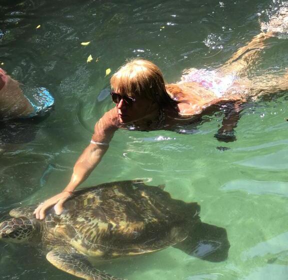 פנסיון Vanilla House