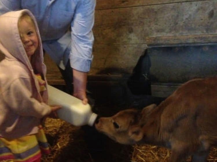 צימר Netherfield Natural Farm