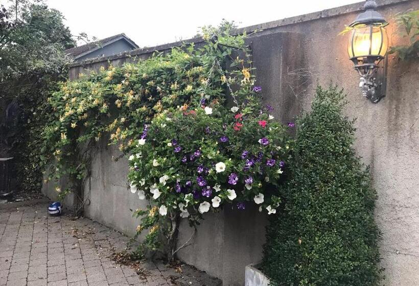 酒店 Avlon House Bed And Breakfast