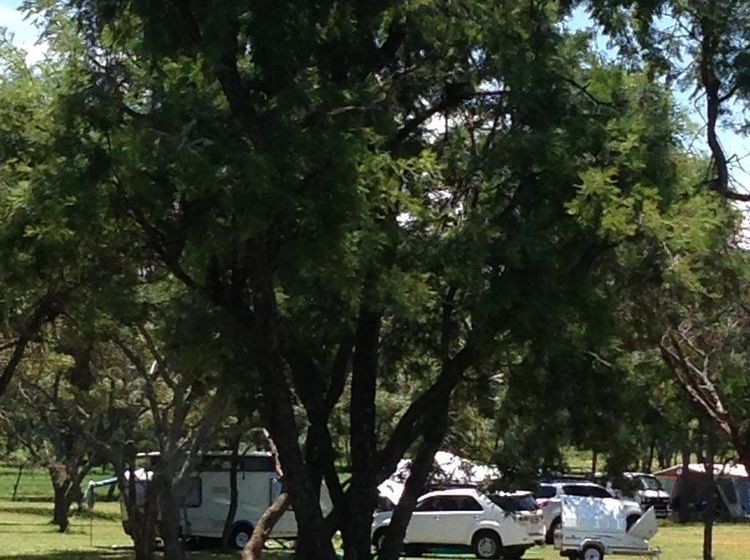 فندق Buyskop Lodge