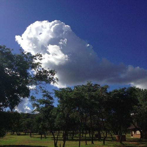 فندق Buyskop Lodge