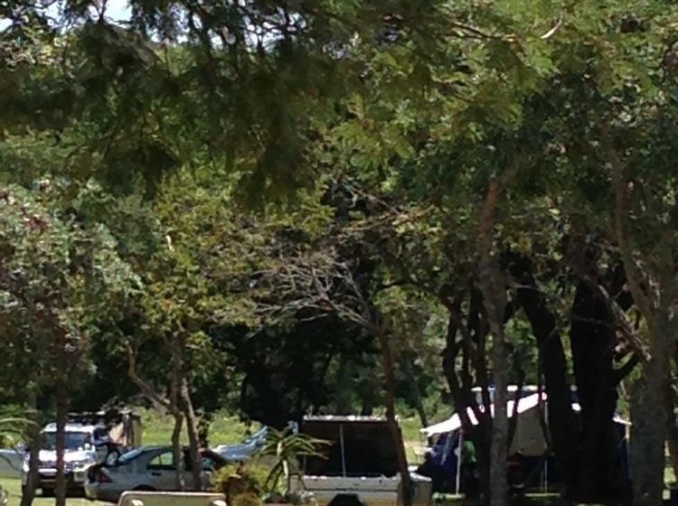 فندق Buyskop Lodge