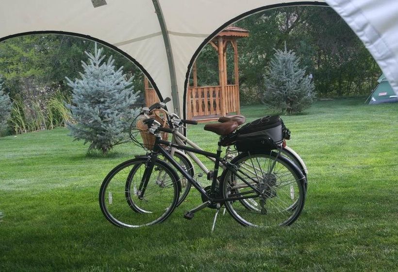 Отель Dreamcatcher Bed And Breakfast