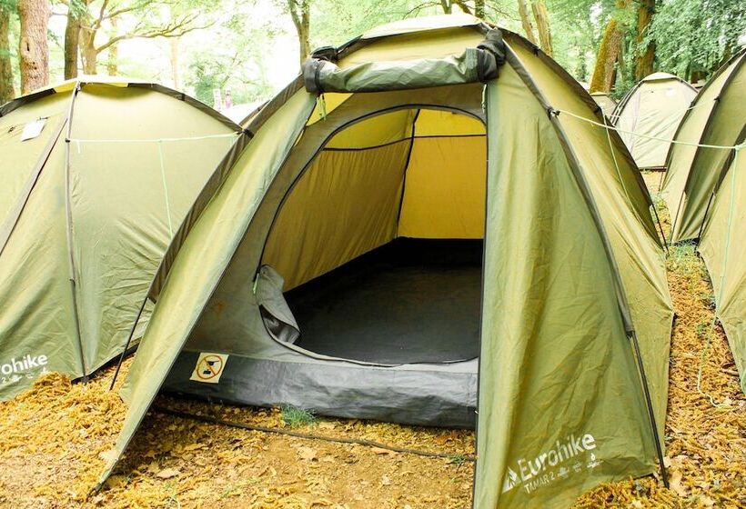 호텔 Pamplona Camping