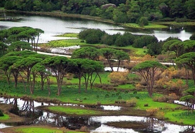 Ionian Islands Beach Villas