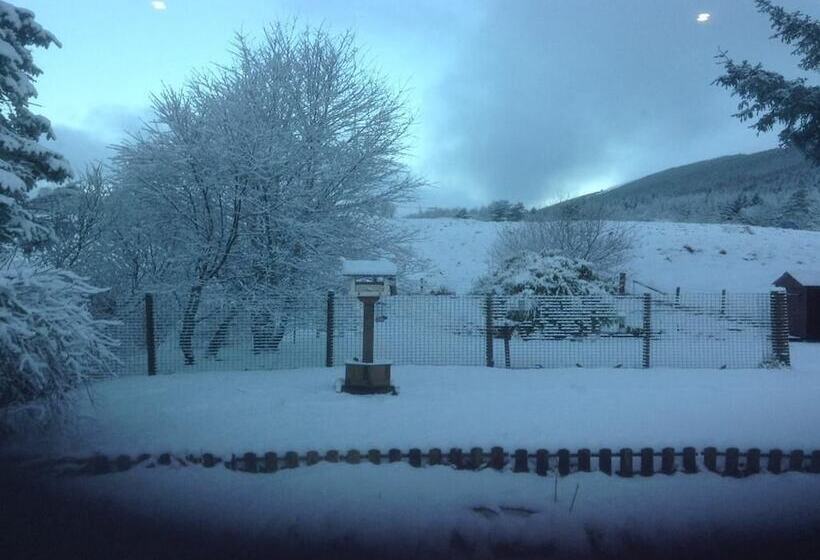 فندق Clifton Cottage