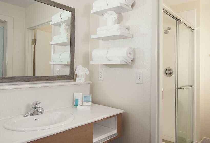 هتل Hampton Inn & Suites By Hilton Augustawashington Rd
