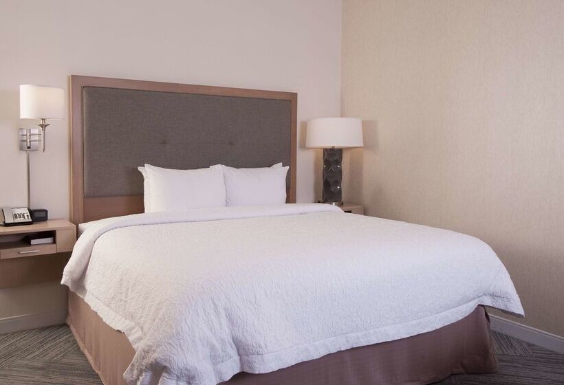 هتل Hampton Inn & Suites By Hilton Augustawashington Rd