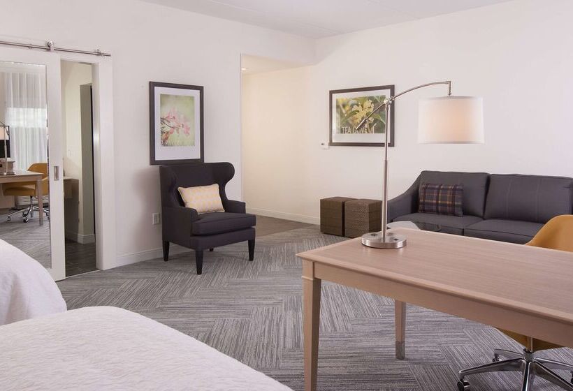 هتل Hampton Inn & Suites By Hilton Augustawashington Rd
