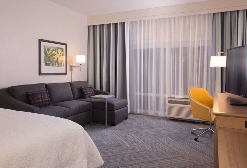 هتل Hampton Inn & Suites By Hilton Augustawashington Rd