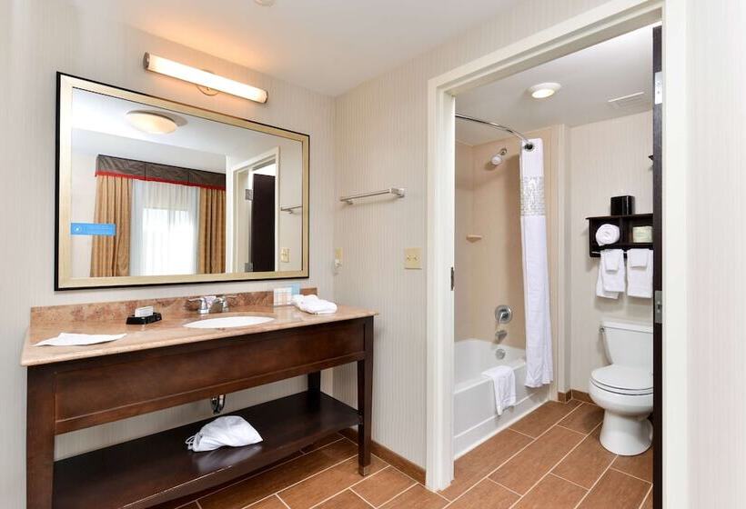 ホテル Hampton Inn & Suites California Universitypittsburgh