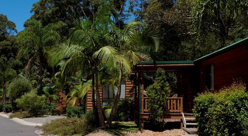 Отель The Palms At Avoca