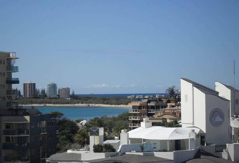 Pandanus Mooloolaba
