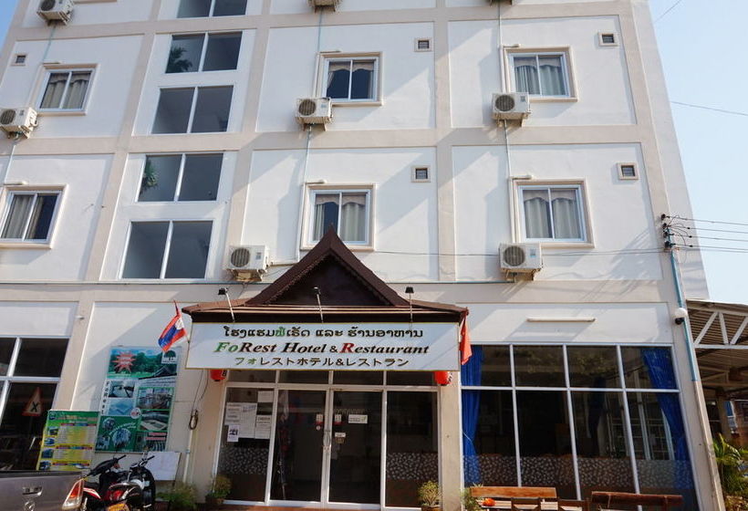 فندق صغير Forest